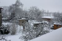 Garten im Winter